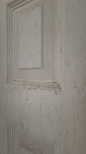 JELDWEN SOLID CORE DOOR, 24 X 80