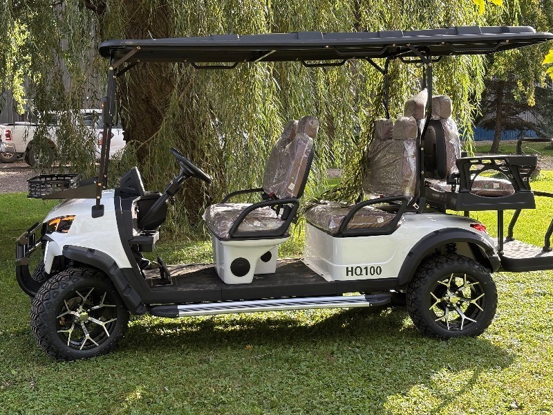 SDLANCH 6 SEAT GOLF CART(HQ100)