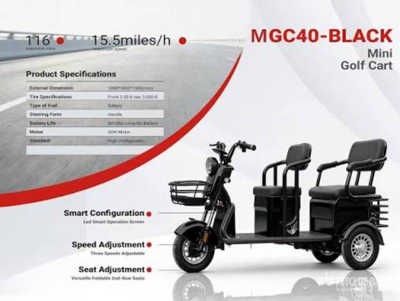 2026 SDLANCH HIGH END GOLF CART (MGC40) BLACK