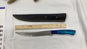 Fillet or a Fishing Knife.