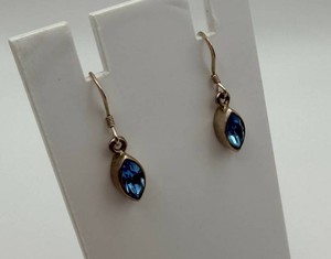 Blue Faceted Teardrop Dangle Earrings