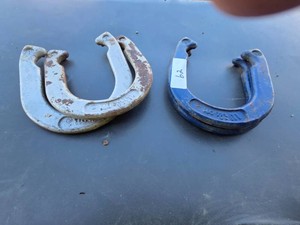 4 Wilson Horseshoes