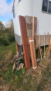Wood Lot