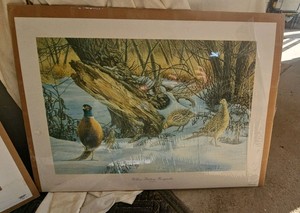 Willow Bottom Ringnecks 813850 Limited Edition Print not framed - in plastic
