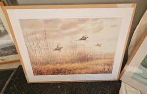 Flurry of Wings Ring-necked Pheasants by Noel Dunn 13381650 Limited Edition Print