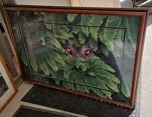 Watcher of the Woods  Framed Print by Adam Jones