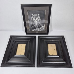 Wilford Yoder Great Horned Owl Black & White Framed Wildlife Photograph with Black Picture Frames