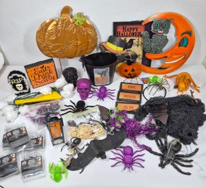 Assorted Halloween Decorations  Black Cat, Moon, Pumpkins, Skulls, Spiders, Bats & Lights