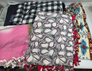 Assorted Fleece Throw Blankets Raiders, Heated Travel Blanket, Baseball, Cat & Southwestern Prints
