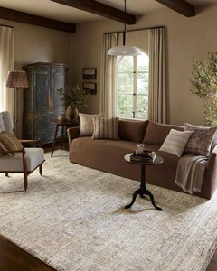 $200 Loloi Amber Lewis Honora Rug 5-3 x 7-9