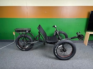 Sun Seeker E-Fat-Tad Electric Assist Trike - $4345 MSRP - NEW