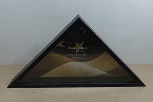 Flag Display Case - 17.5x17.5x24.75x2
