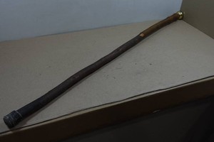 Walking Stick - 80