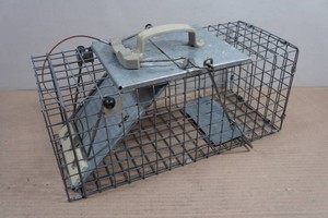 Havahart Live Trap - 17.5x7.5x7.5