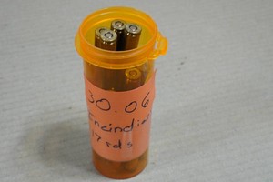 17 .30-06 Sprg Silver Tip Ammo