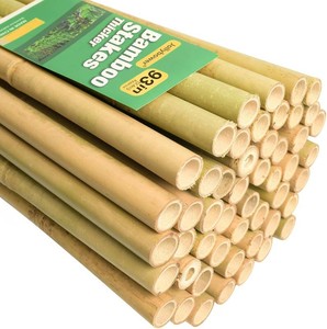 $140 Jollybower 1 D 93 Bamboo Stakes 50 Pack