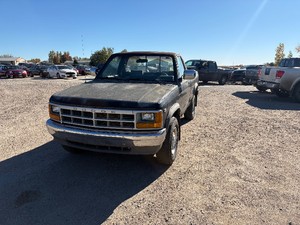 1991 Dodge Dakota 1 Owner