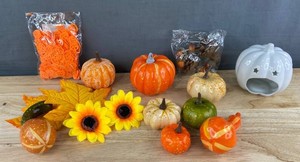 Fall & Halloween Decor Mixed Lot - Brand New Q