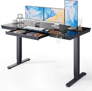 Standing Desk, 55 x 28 Inch Electric Standing Desk