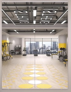 Gym Wall Mirror 24x72 2pc Silver