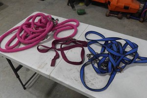 Leads and Reins