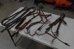 Horse Reins