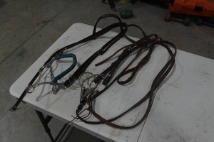 Leather Western Headstalls