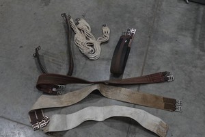 English Saddle Girths