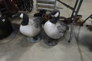2 Canadian Goose Decoys