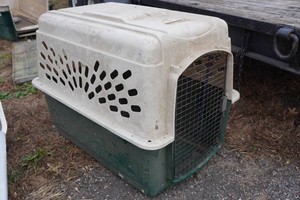 Travel Pet Crate