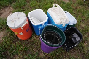 Assorted Coolers and Feed Buckets