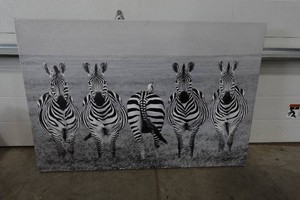 Printed Stretched Canvas Zebra Picture