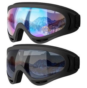 SkiSnowboard Goggles