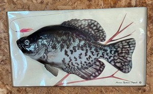Vintage American Sportsman Originals Fish Wall Plaque 20 X 13 in