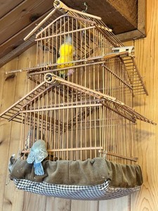 Decorative Wooden Hanging Birdcage Display With Faux Birds