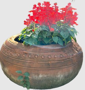 Terracotta Garden Planter With Red Flowering Plants