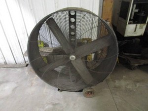 48 Shop Fan