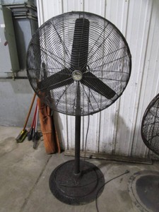 28 Shop Fan