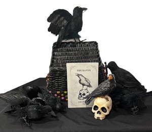 B - Basket, Edgar Allan Poe Book & Ravens