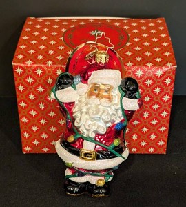 Christmas Ornament - Christopher Radko Tangled Tidings 1018454
