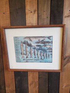 Framed Fish of Minnesota Picture