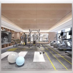 $180 Yarnuwa 63X24 2Pack Home Gym Mirror