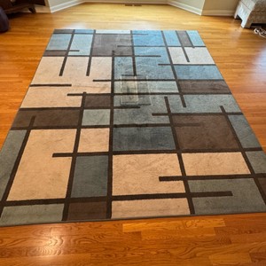 10 x 8 Area Rug