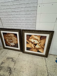 Set of 2 Framed Sepia-Tone Floral Prints  Matching Decorative Wall Art