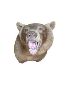 Cinnamon Black Bear Head