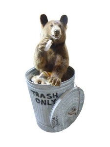 Cinnamon Black Bear in Trash Can