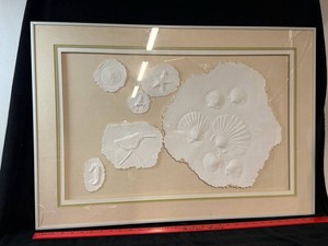 Framed Hand Cast and Pressed Paper Featuring Nautical Seashells  Relief Coastal Artwork signed and numbered - 32 X 23 in