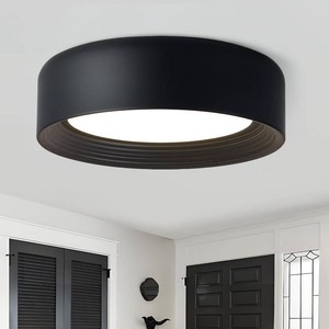 $40 11.8 inch Modern Matte Black Flush Mount Ceiling Light Fixture
