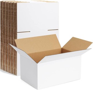 Famagic Small Shipping Boxes 10x7x5 for Packing & Business, 10 Pack, White (missing one )
