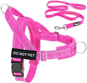 $27 Lukovee No Pull Dog Harness and Leash Set, Soft Padded for Large Medium Dog